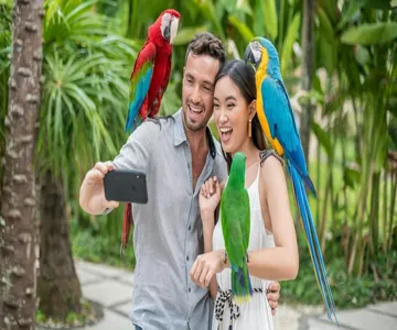 Bali Bird Park: Entry Ticket